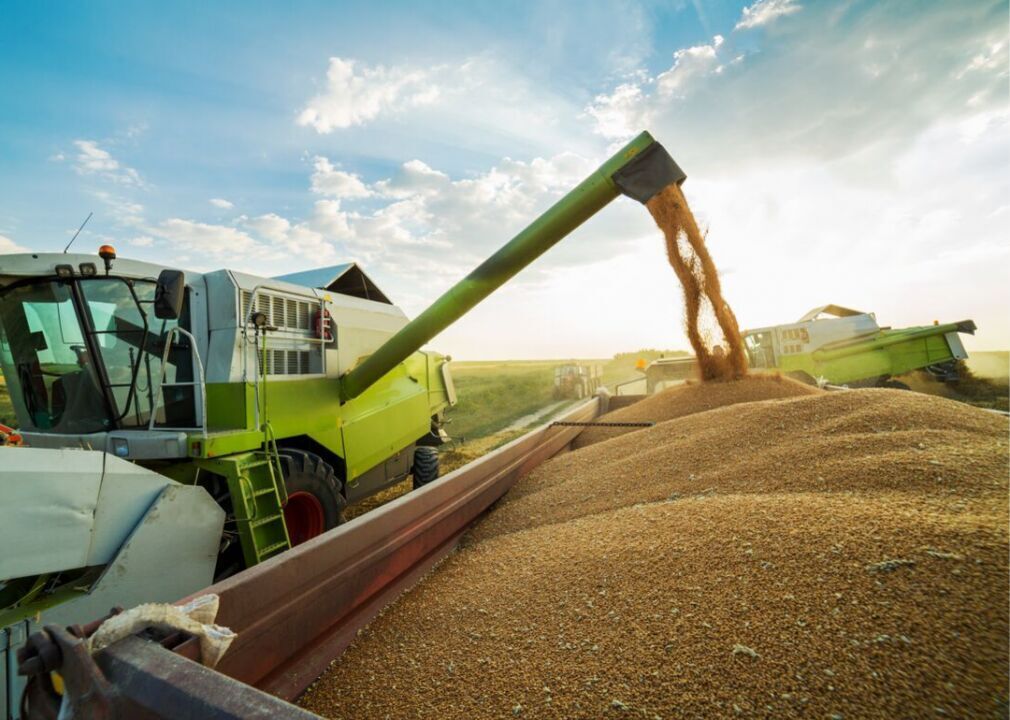 The invention of the wheat combine in 1934 changed farming forever